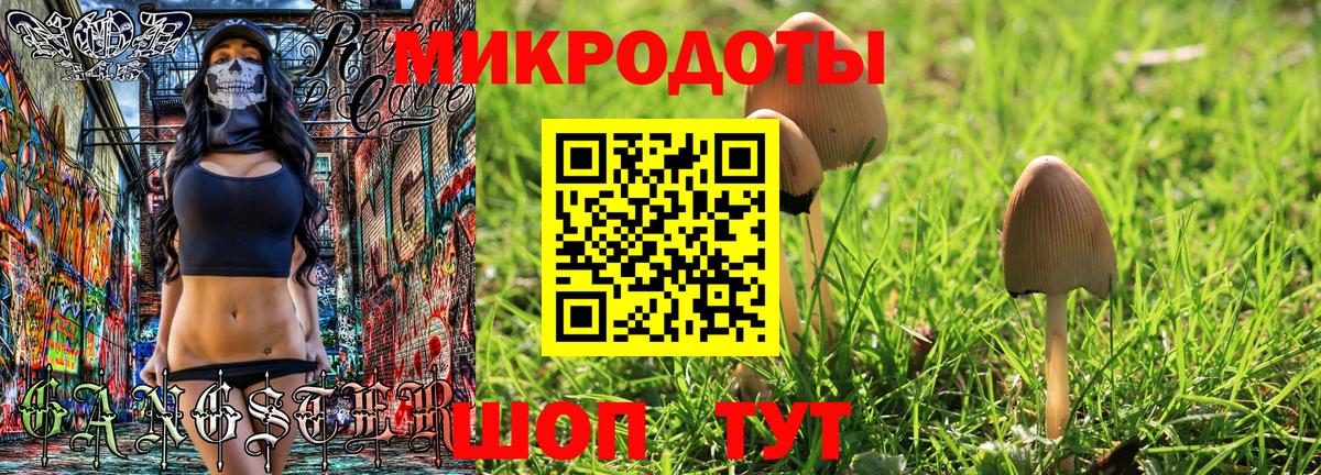 Псилоцибиновые грибы мухоморы  Галлюциногенные грибы ЛСД  наркотики  Вход с VPN  Елизово 