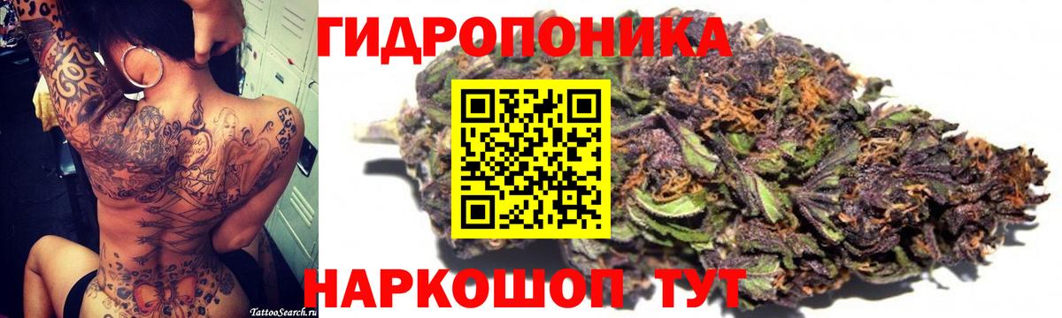 Alpha PVP Елизово